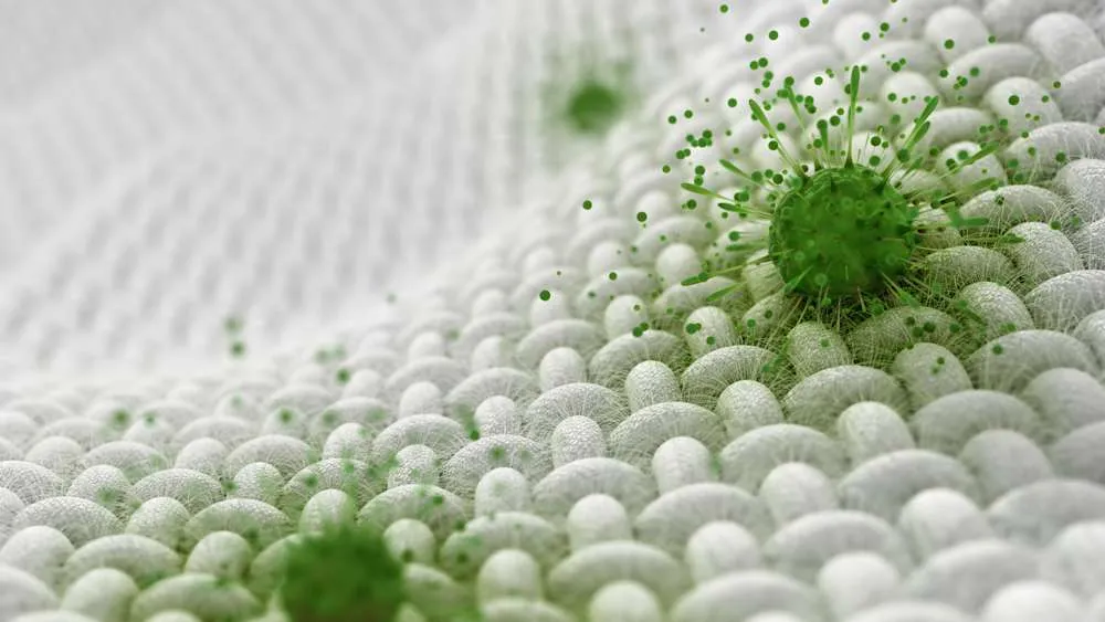 Antimicrobial Finishing in Textile